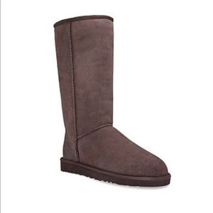 Tall chocolate brown uggs